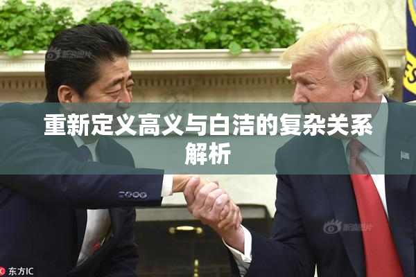 重新定义高义与白洁的复杂关系解析