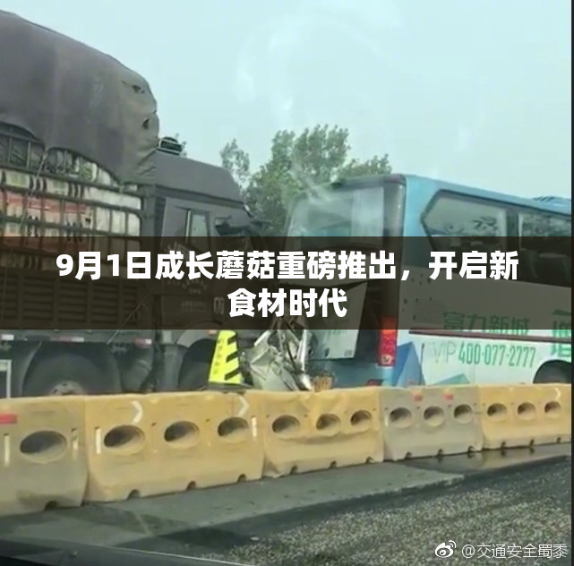 9月1日成长蘑菇重磅推出，开启新食材时代
