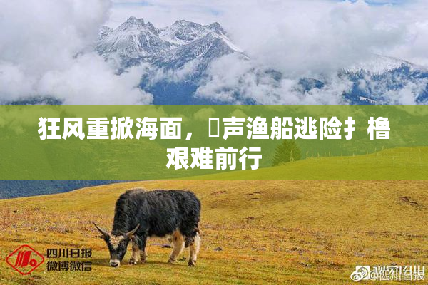 狂风重掀海面，喿声渔船逃险扌橹艰难前行