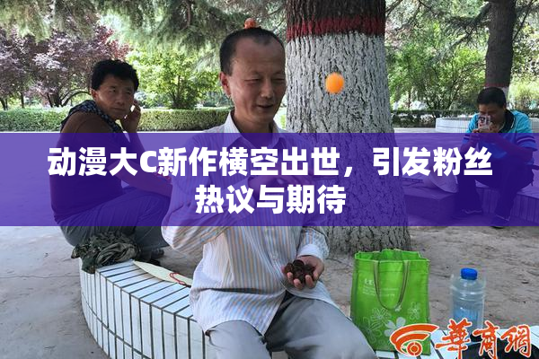 动漫大C新作横空出世，引发粉丝热议与期待