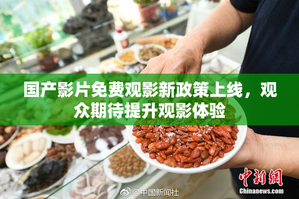 国产影片免费观影新政策上线，观众期待提升观影体验