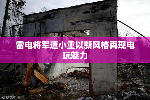 雷电将军遭小重以新风格再现电玩魅力