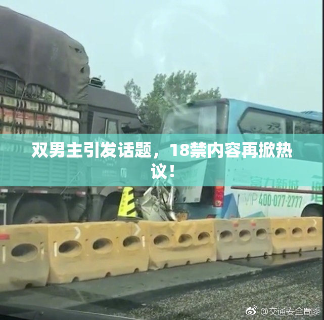双男主引发话题，18禁内容再掀热议！
