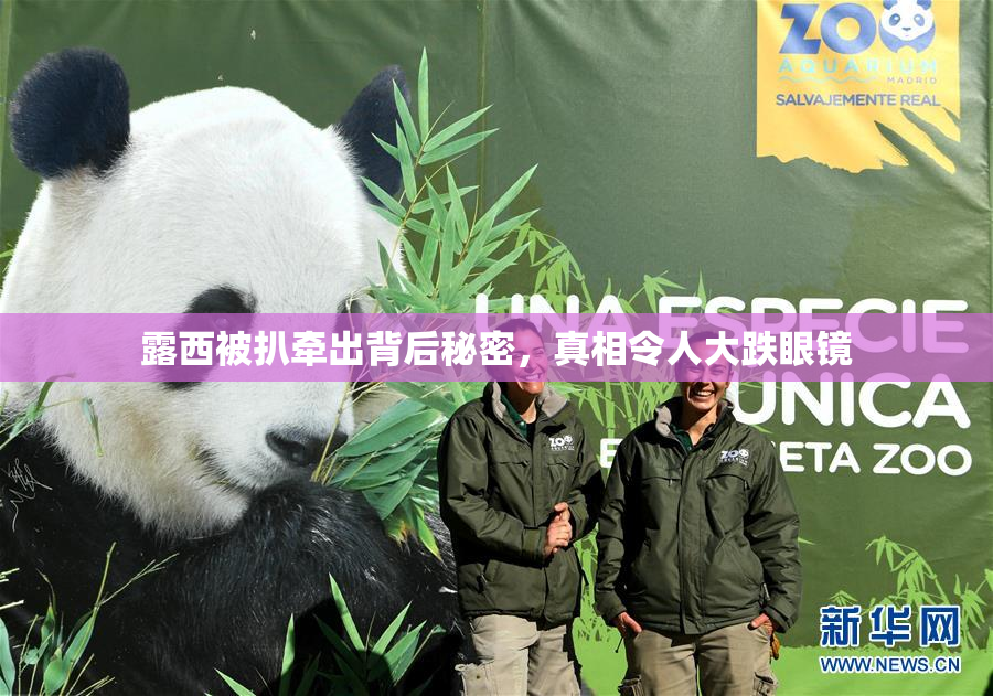 露西被扒牵出背后秘密，真相令人大跌眼镜