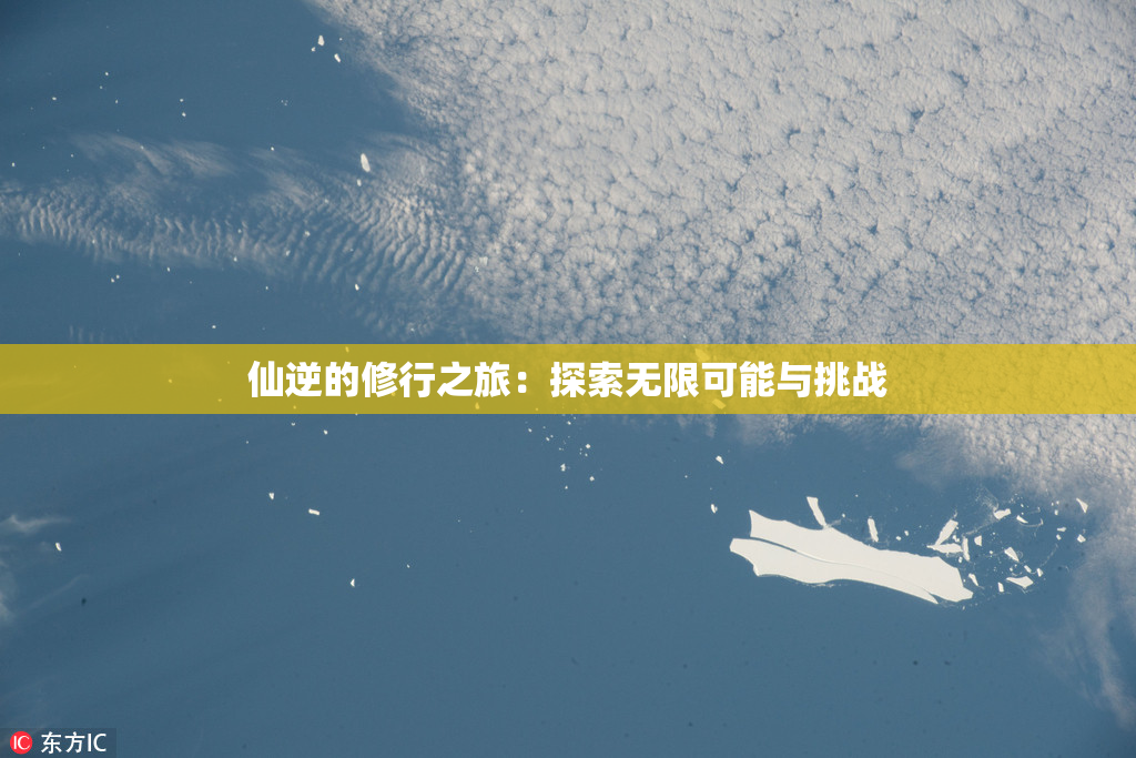 仙逆的修行之旅：探索无限可能与挑战