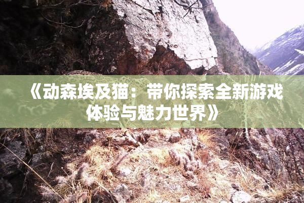 《动森埃及猫：带你探索全新游戏体验与魅力世界》