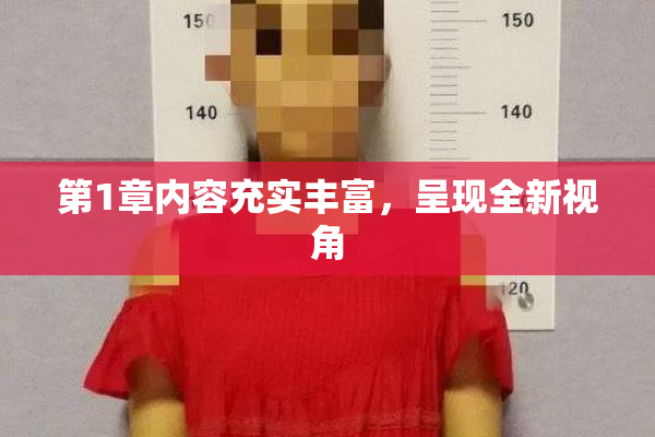 第1章内容充实丰富，呈现全新视角