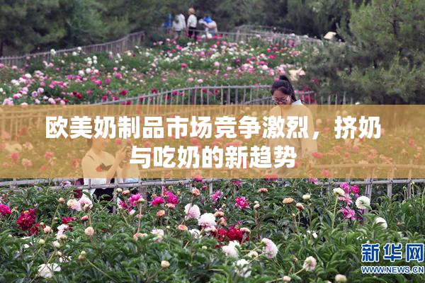 欧美奶制品市场竞争激烈，挤奶与吃奶的新趋势