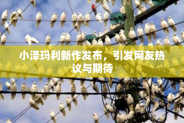 小泽玛利新作发布，引发网友热议与期待