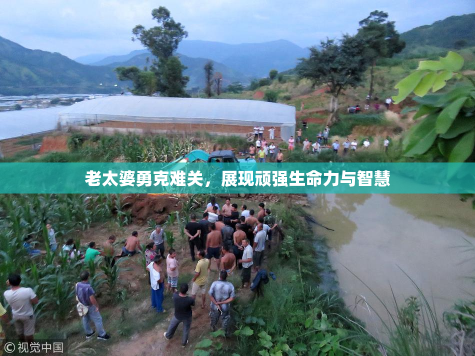 老太婆勇克难关，展现顽强生命力与智慧
