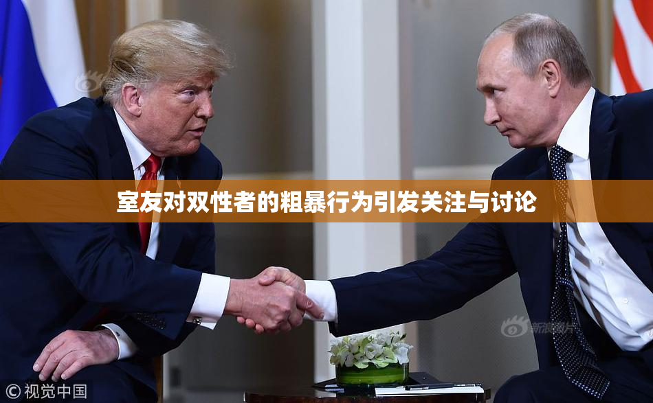室友对双性者的粗暴行为引发关注与讨论