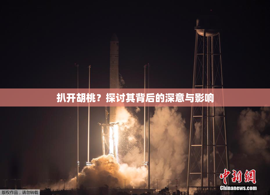 扒开胡桃？探讨其背后的深意与影响