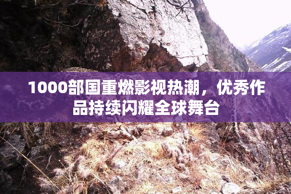 1000部国重燃影视热潮，优秀作品持续闪耀全球舞台