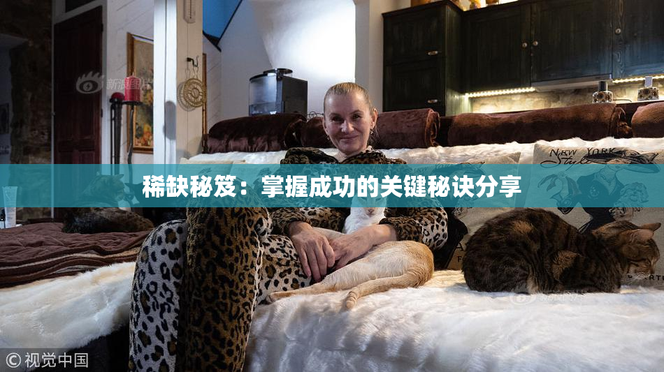 稀缺秘笈：掌握成功的关键秘诀分享