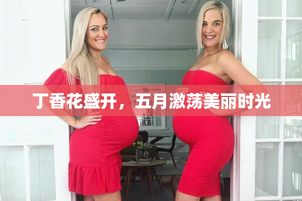 丁香花盛开，五月激荡美丽时光
