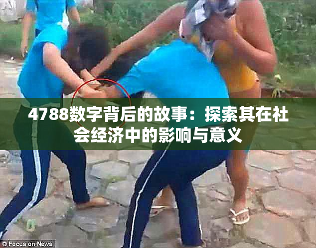 4788数字背后的故事：探索其在社会经济中的影响与意义