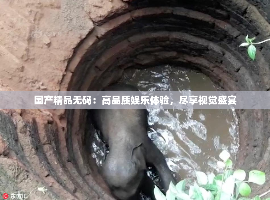 国产精品无码：高品质娱乐体验，尽享视觉盛宴