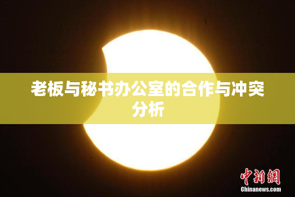 老板与秘书办公室的合作与冲突分析