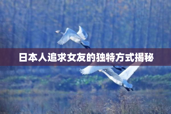 日本人追求女友的独特方式揭秘