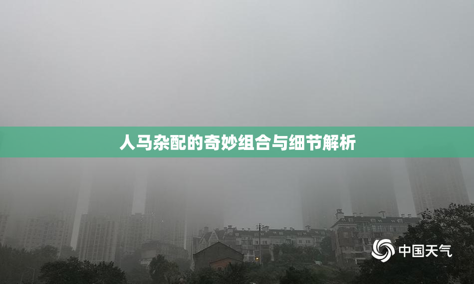 人马杂配的奇妙组合与细节解析