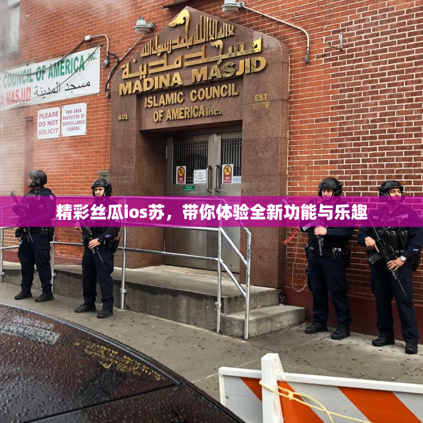 精彩丝瓜ios苏，带你体验全新功能与乐趣