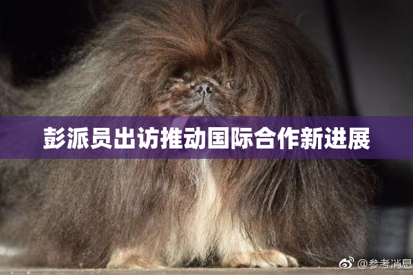彭派员出访推动国际合作新进展