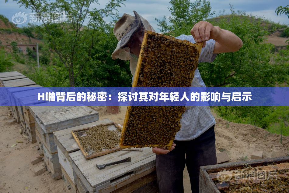 H啪背后的秘密：探讨其对年轻人的影响与启示