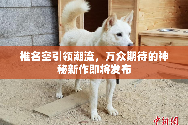 椎名空引领潮流，万众期待的神秘新作即将发布