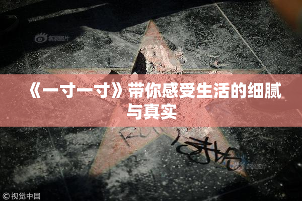 《一寸一寸》带你感受生活的细腻与真实