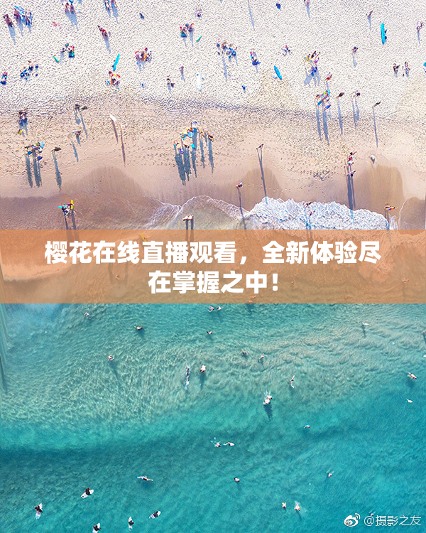樱花在线直播观看，全新体验尽在掌握之中！