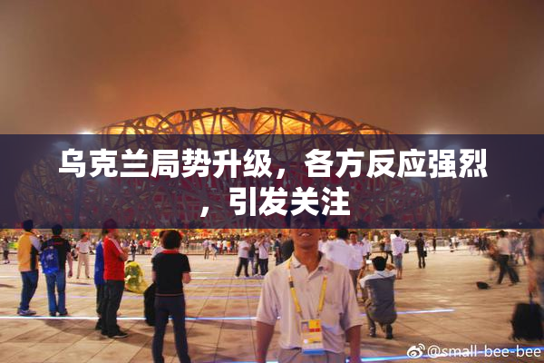 乌克兰局势升级，各方反应强烈，引发关注