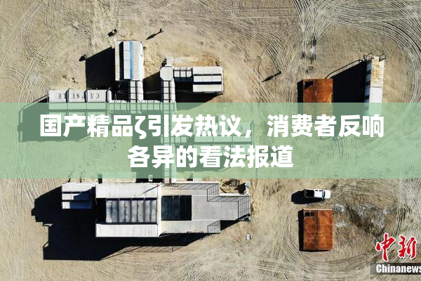 国产精品ζ引发热议，消费者反响各异的看法报道