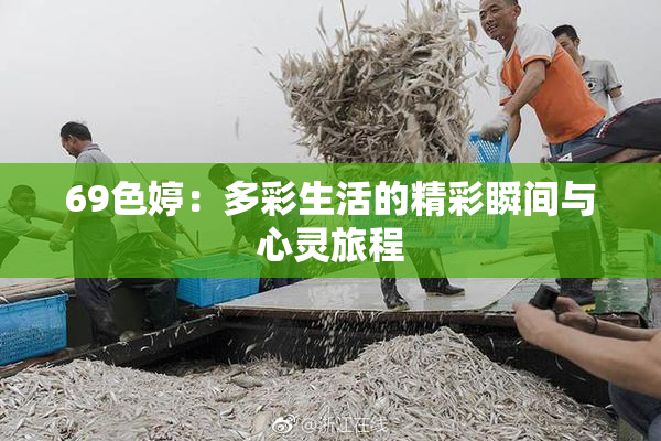 69色婷：多彩生活的精彩瞬间与心灵旅程