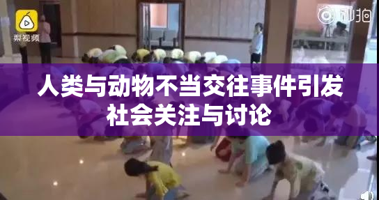 人类与动物不当交往事件引发社会关注与讨论