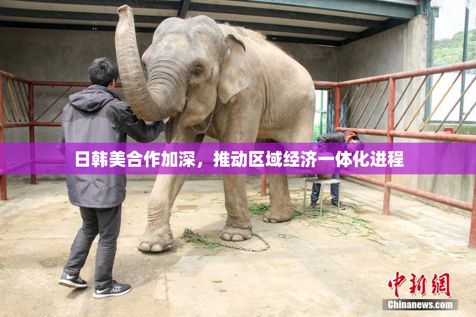 日韩美合作加深，推动区域经济一体化进程