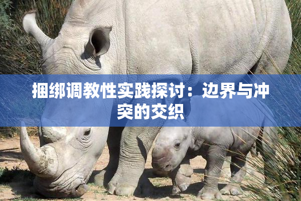 捆绑调教性实践探讨：边界与冲突的交织