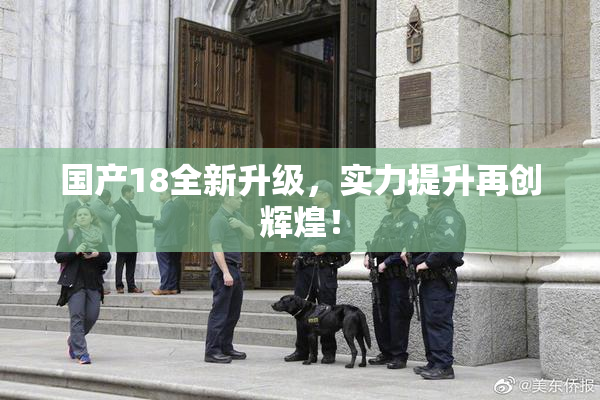 国产18全新升级，实力提升再创辉煌！