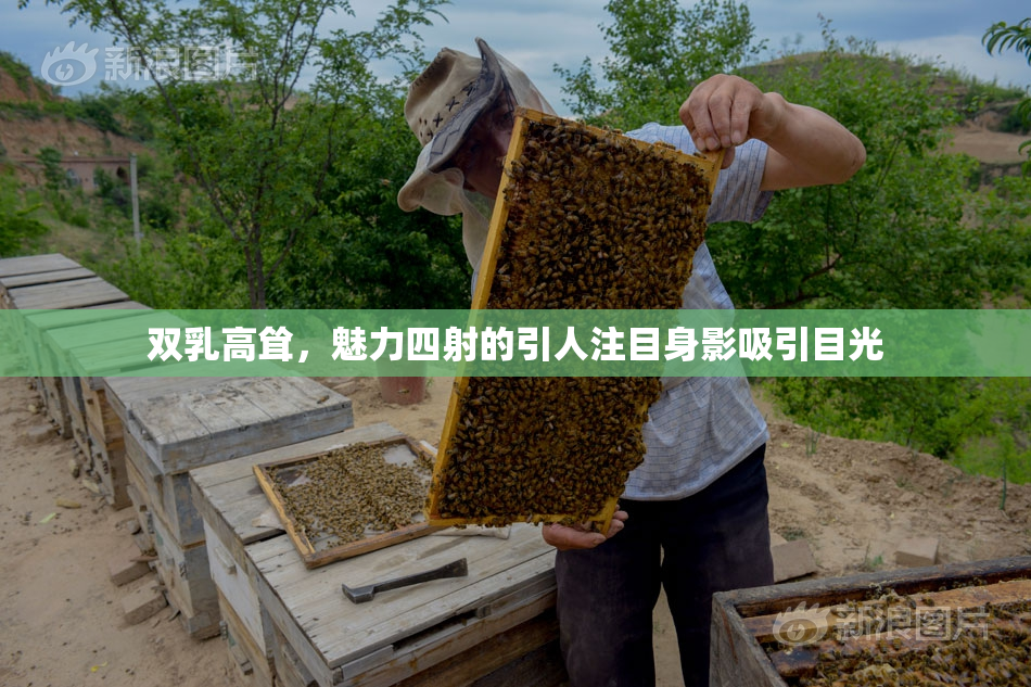 双乳高耸，魅力四射的引人注目身影吸引目光