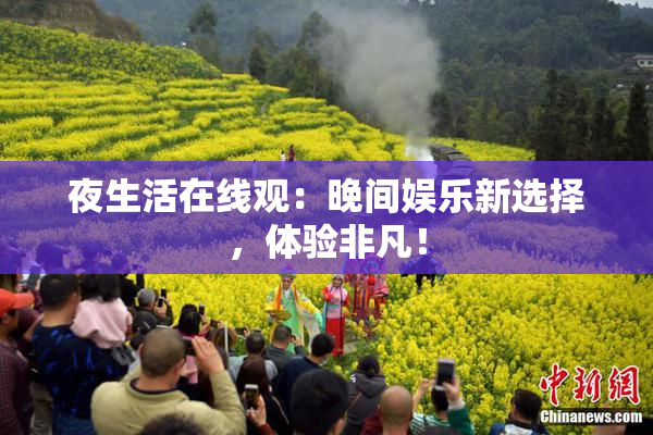 夜生活在线观：晚间娱乐新选择，体验非凡！