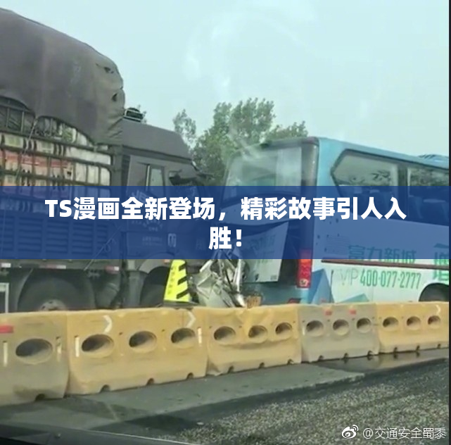 TS漫画全新登场，精彩故事引人入胜！