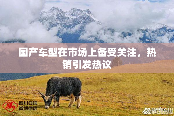 国产车型在市场上备受关注，热销引发热议