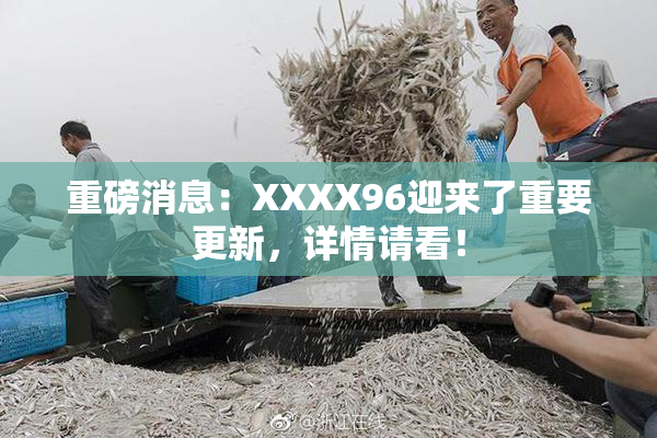 重磅消息：XXXX96迎来了重要更新，详情请看！