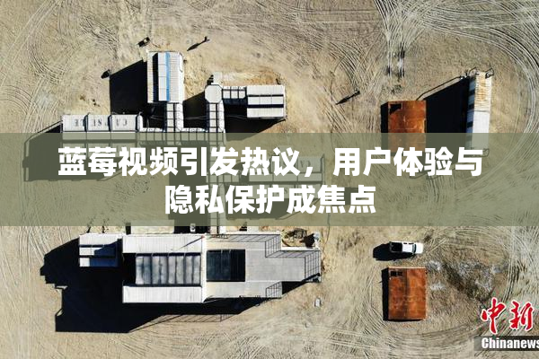 蓝莓视频引发热议，用户体验与隐私保护成焦点