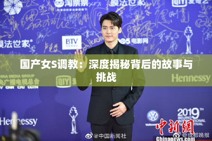 国产女S调教：深度揭秘背后的故事与挑战