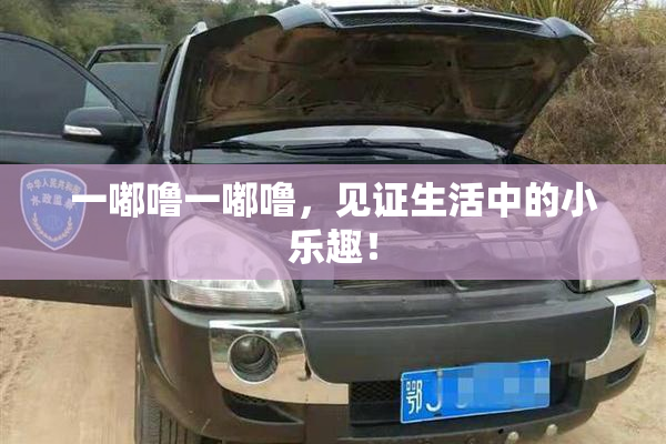 一嘟噜一嘟噜，见证生活中的小乐趣！