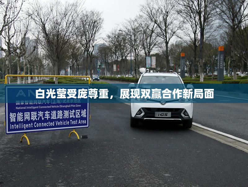 白光莹受庞尊重，展现双赢合作新局面