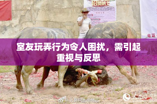 室友玩弄行为令人困扰，需引起重视与反思