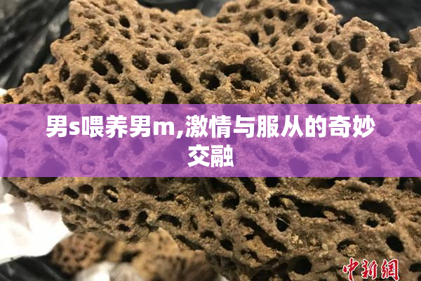 男s喂养男m,激情与服从的奇妙交融