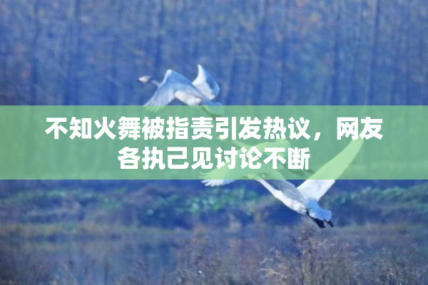 不知火舞被指责引发热议，网友各执己见讨论不断