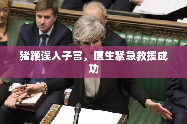 猪鞭误入子宫，医生紧急救援成功